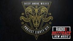 Project 86 – Sheep Among Wolves