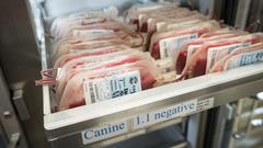 California’s canine blood banks harvest from caged dogs and operate in secrecy