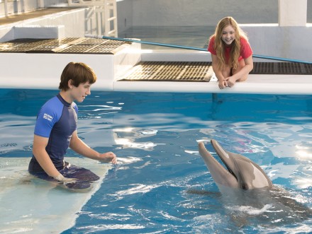 Dolphin Tale 2