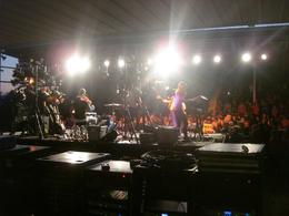 The Birdsongs News